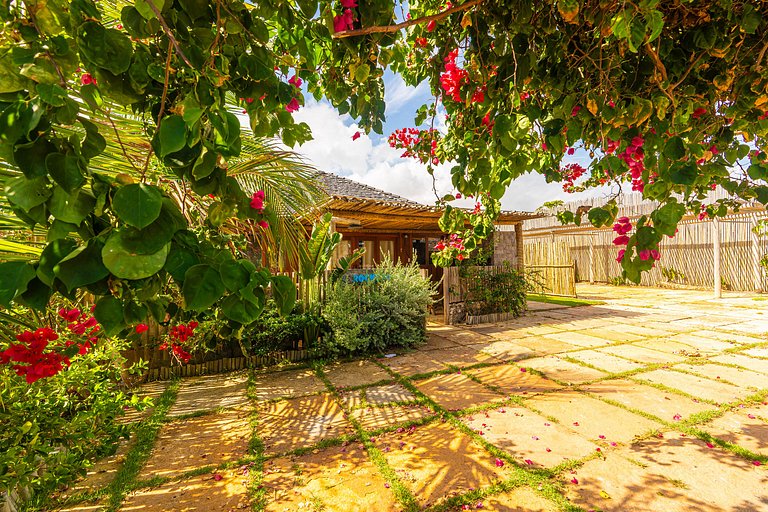 Backdoor Taíba Point Perfeito de Kite & Mar